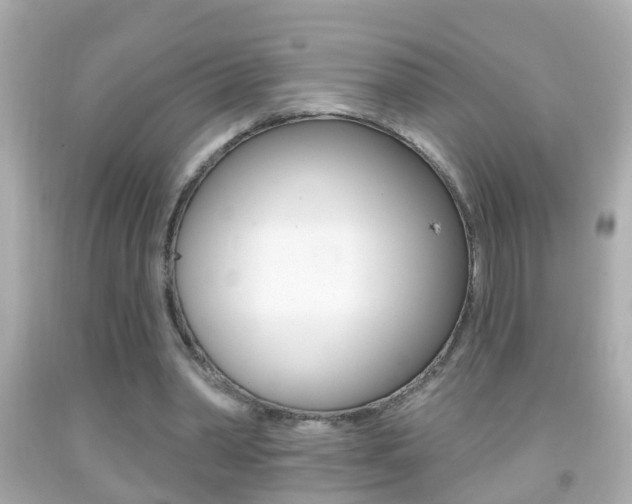 X0000092040390200709121009