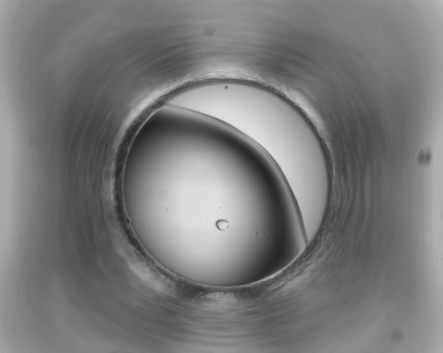 X0000092040391200709121009