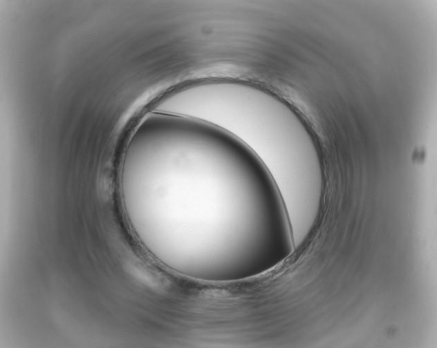 X0000092040392200709121009