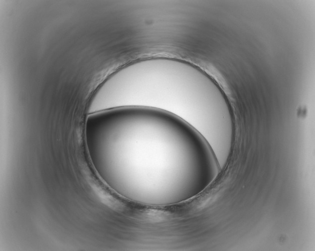 X0000092040393200709121009