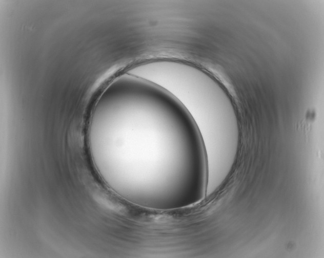 X0000092040395200709121009