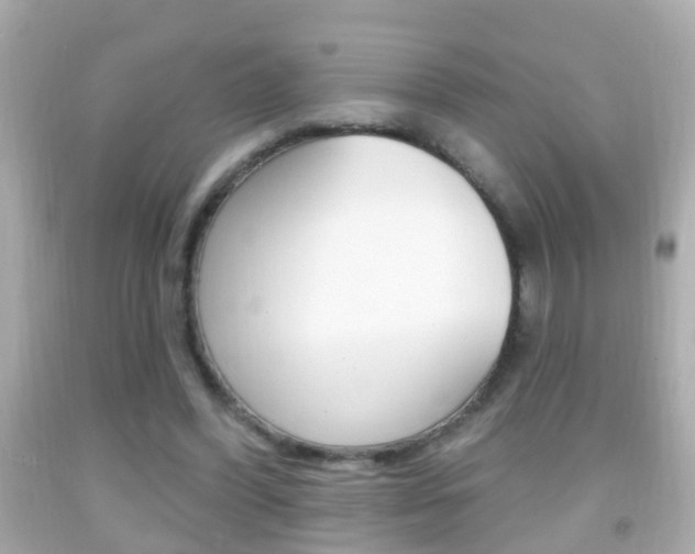 X0000092040396200709121009
