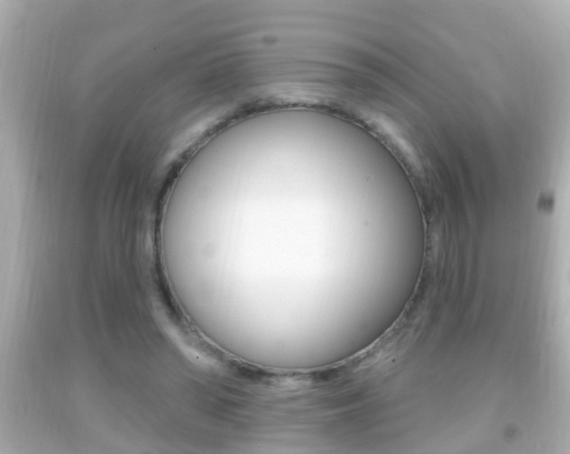 X0000092040398200709121009