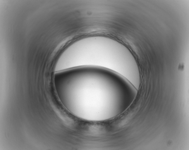 X0000092040400200709121009