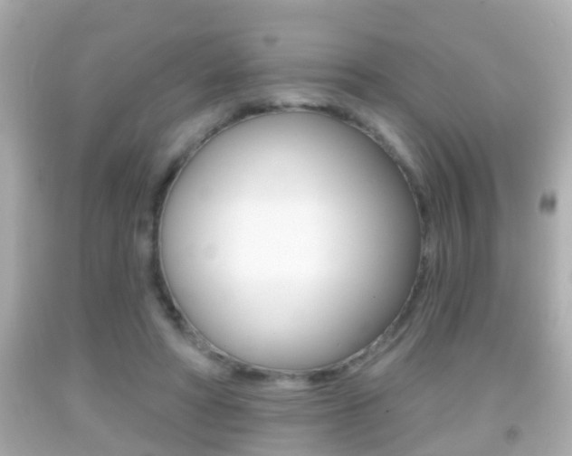 X0000092040402200709121009