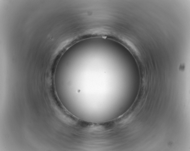 X0000092040403200709121009