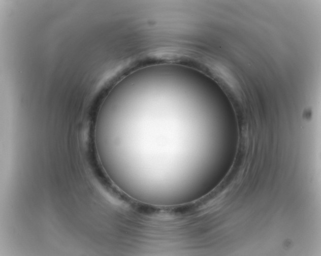 X0000092040404200709121009