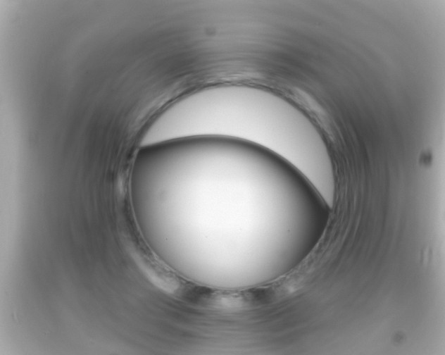 X0000092040405200709121009