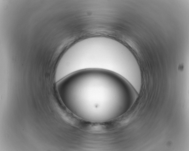 X0000092040407200709121009