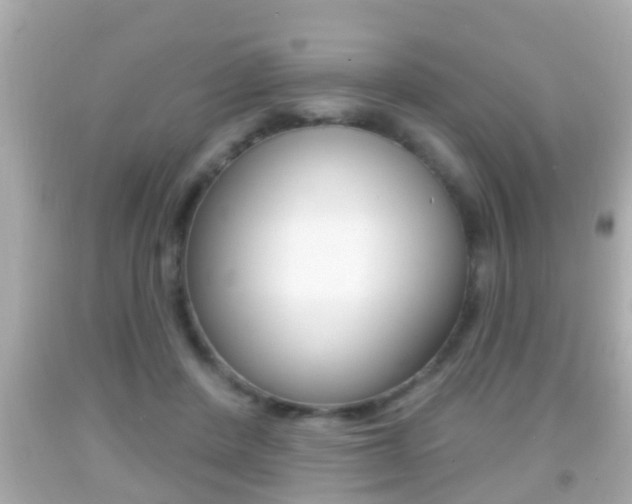 X0000092040408200709121009