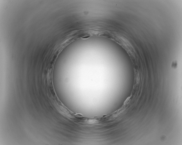 X0000092040409200709121009