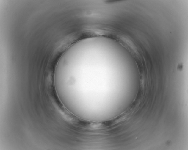 X0000092040410200709121009