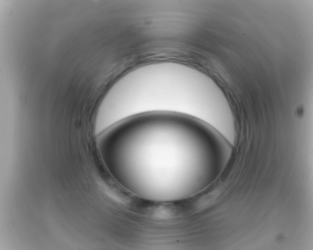 X0000092040412200709121009