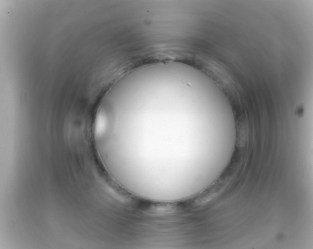 X0000092040414200709121009