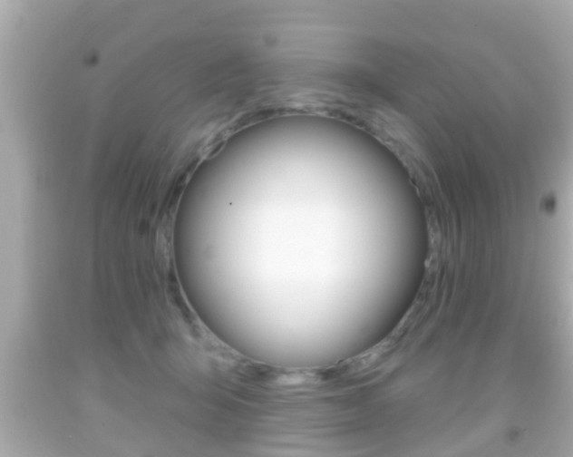 X0000092040415200709121009