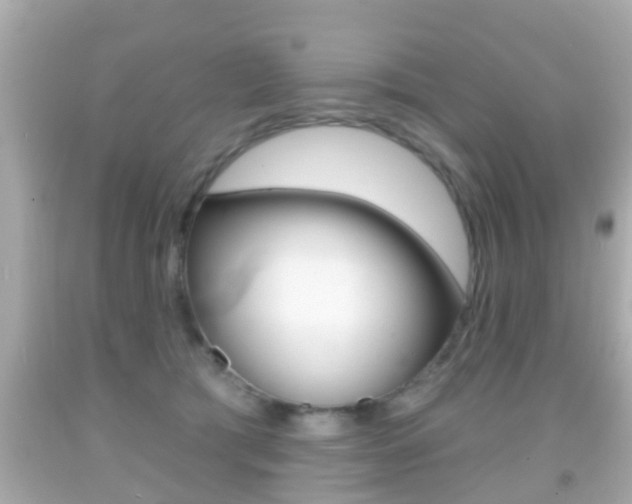 X0000092040417200709121009
