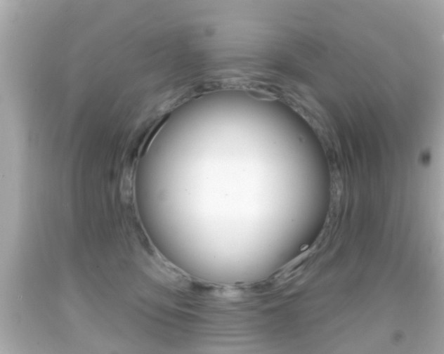 X0000092040419200709121009