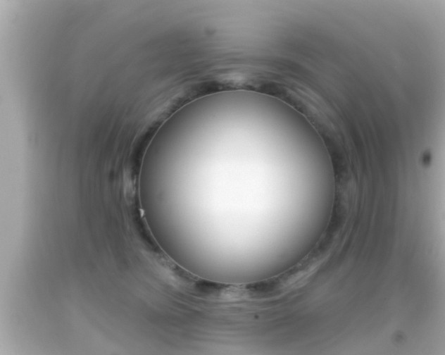 X0000092040420200709121009