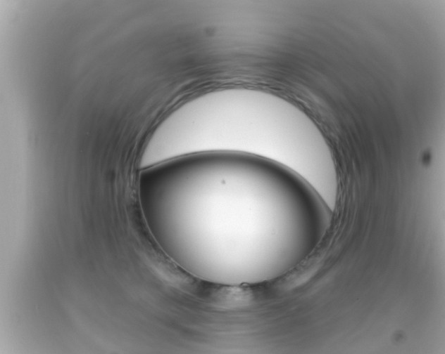 X0000092040421200709121009
