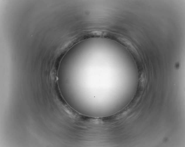 X0000092040424200709121009
