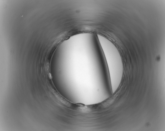 X0000092040425200709121009
