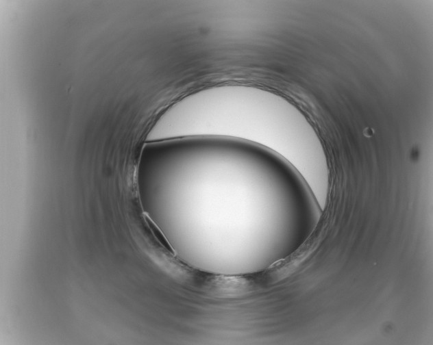 X0000092040429200709121009