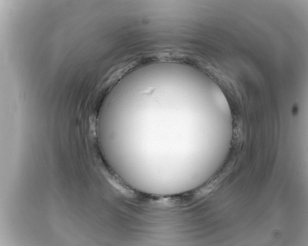 X0000092040430200709121009