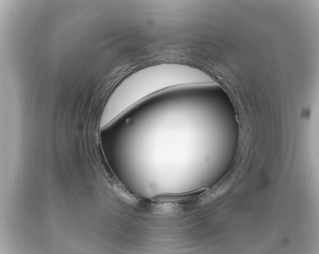 X0000092040432200709121009