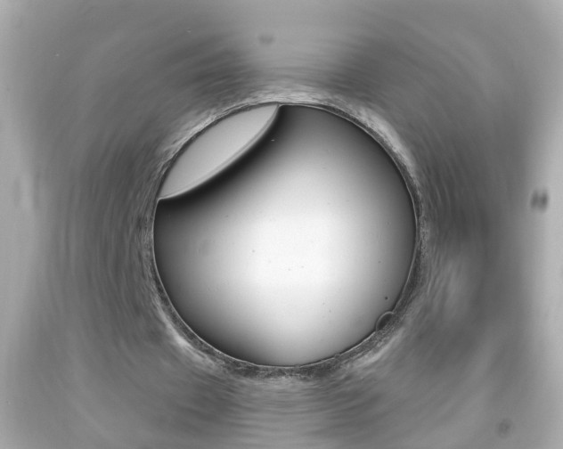 X0000092040433200709121008