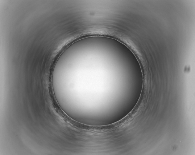 X0000092040434200709121008