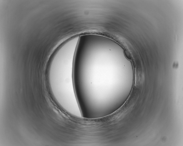 X0000092040435200709121008