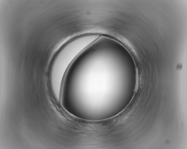 X0000092040436200709121008