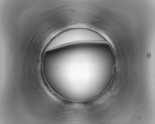 X0000092040437200709121008