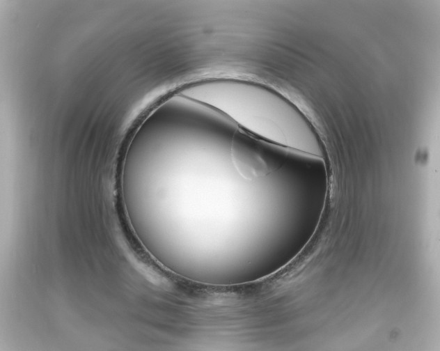 X0000092040438200709121008