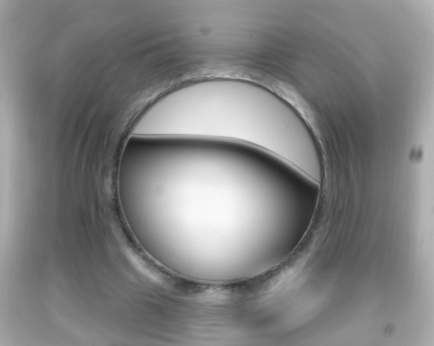 X0000092040441200709121008