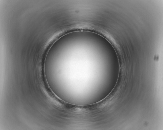 X0000092040442200709121008