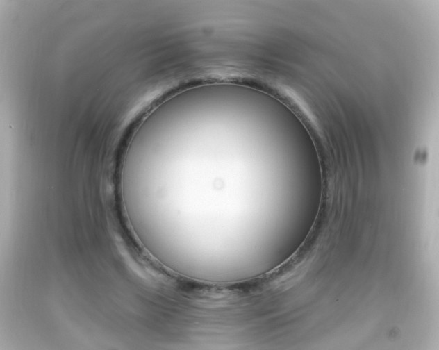 X0000092040443200709121008