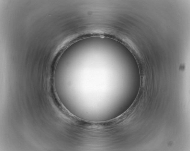 X0000092040444200709121008