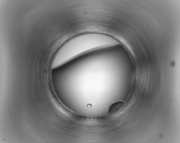X0000092040445200709121008