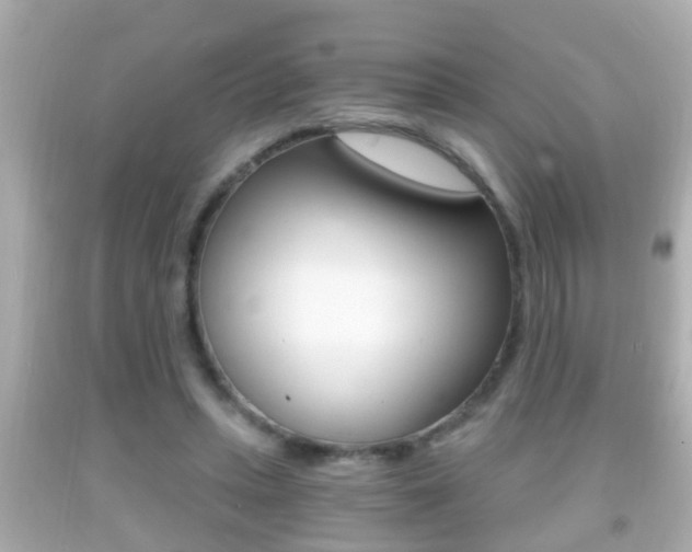 X0000092040447200709121008