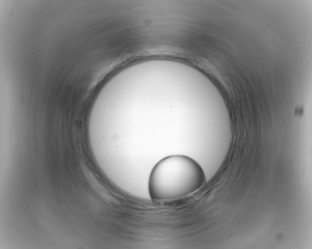 X0000092040448200709121008