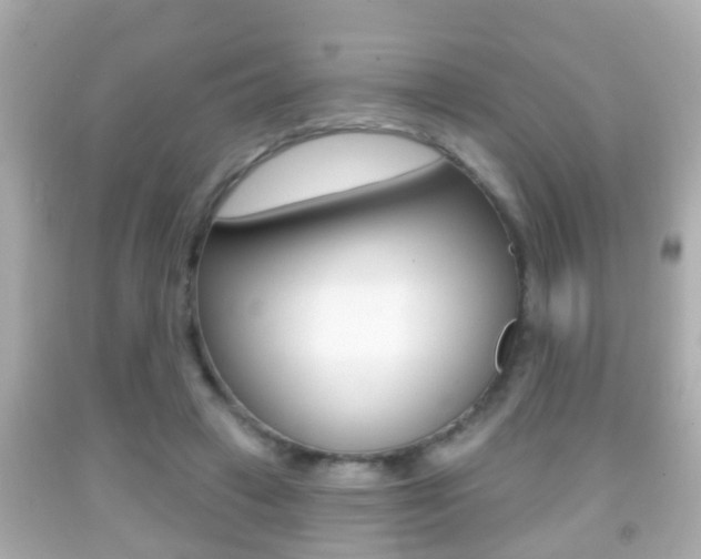 X0000092040449200709121008