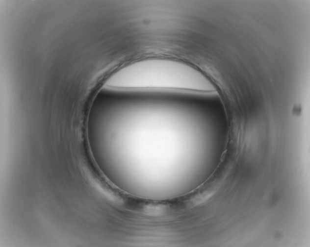 X0000092040450200709121008