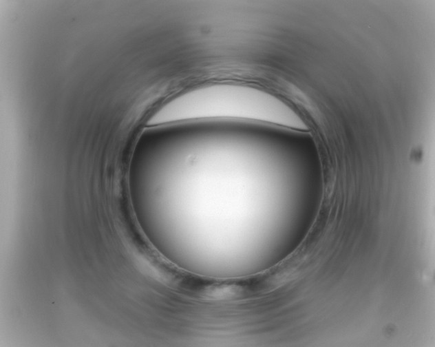 X0000092040452200709121008