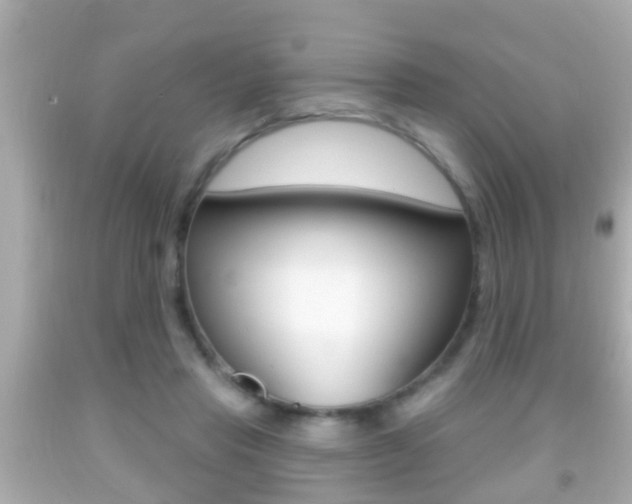 X0000092040453200709121008