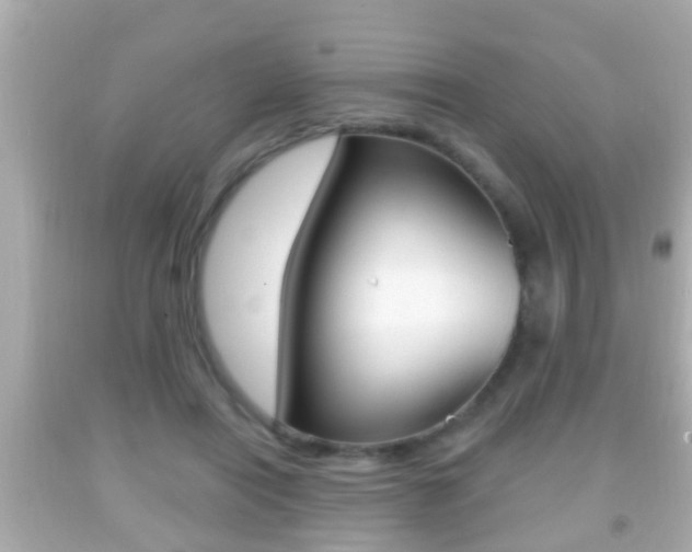 X0000092040454200709121008