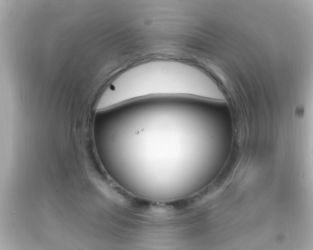 X0000092040455200709121008