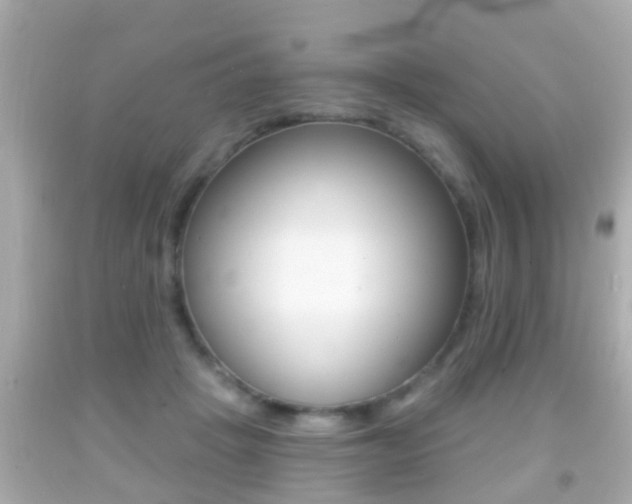 X0000092040457200709121008