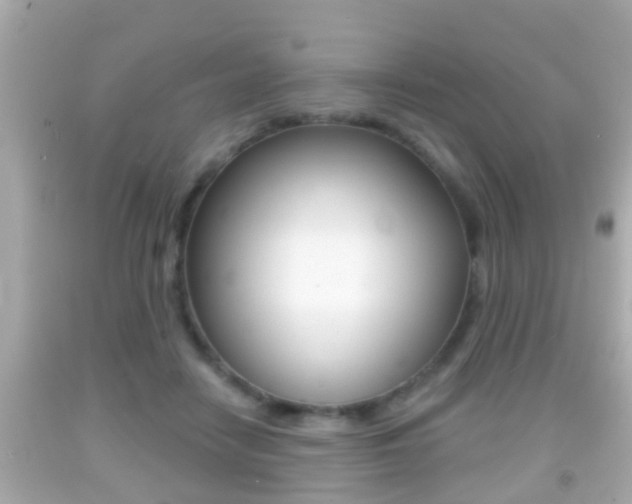 X0000092040458200709121008