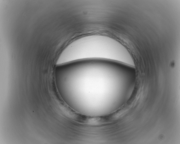 X0000092040461200709121008